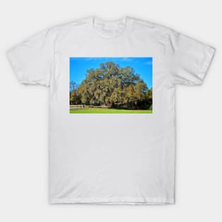 Lovely Oak T-Shirt